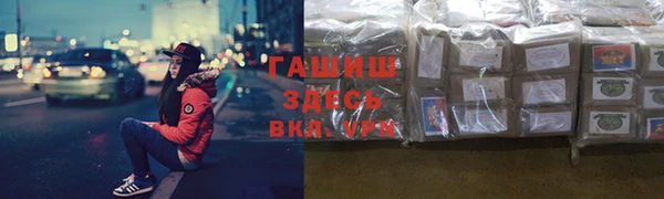 прущие грибы Горняк