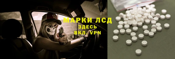 прущие грибы Горняк