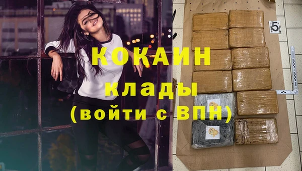 крисы Дмитров