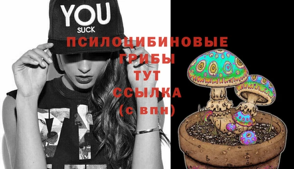 крисы Дмитров